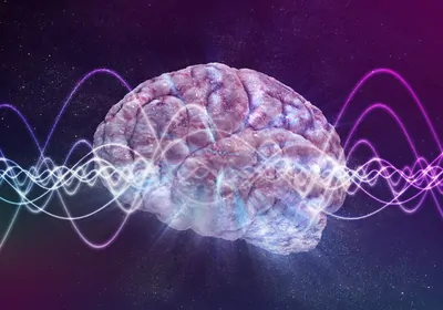 3D rendered illustration of a brain with signal waves in background to show the concept of consciousness